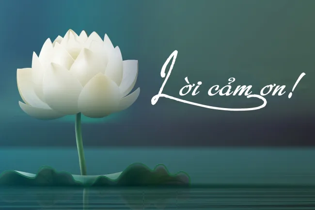 Đánh giá tương đương sinh học (TĐSH)